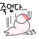 묘한인생 이미지