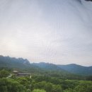 양지골쉼터식당 이미지