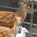 금어농장 이미지