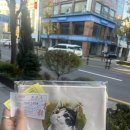 이노티안경(동성점) 이미지