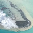 새(화산)2 이미지