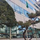 [생활꿀팁] 경주녹취 안동녹취 영주녹취 재개발 재건축 속기록 작성 전문 파워녹취사무소