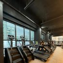 머슬서포트짐 이미지