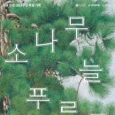 겸재정선미술관 《소나무, 늘 푸르른》 특별전