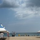 월포해수욕장 | [포항] 프라이빗한 바다 물놀이 |월포 수련원- 월포 해수욕장| 후기