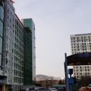 엠에스코리아 이미지