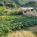 만물농원 이미지