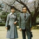 조원관광진흥(주) 이미지