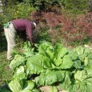 형은농장 이미지