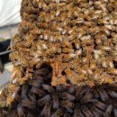 산골농부네 이미지