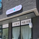 소나캣 이미지