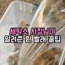 하나세탁소 | 흰 양말 찌든 때 세탁소 사장님 비법으로 손빨래 없이 해결한 후기 (feat. 황변 얼룩)