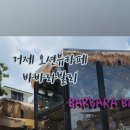 바바라 발리 네이버블로그