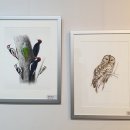 달성습지 생태 학습관 이미지