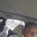 루원하이동물병원 이미지