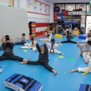 국가대표용인대박사태권도장 이미지