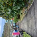 갭 투자와 갭 차이... 이미지