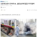 산란계 농장서 잇따라 AI…불안심리에 달걀 가격 '들썩' 이미지