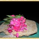 안선생민박 이미지