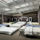 29 하우스 이미지