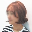 에스에프헤어 - 중구 동성로3길 93 | 에스에프헤어