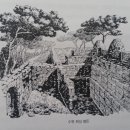 수원-1911 이미지
