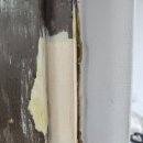 캐치박스 이미지