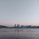 토요코인 부산해운대 네이버블로그