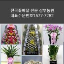 청양훈병원장례식장 이미지