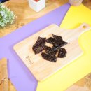 멍멍대학 이미지