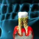 나루 동물병원 이미지