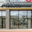 지중해동물병원 이미지