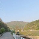 영월군 도로접한 1만평 반값 7300만원 대박임야,다용도 추천 이미지