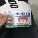 철민농장 네이버블로그