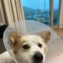 별담동물병원 이미지