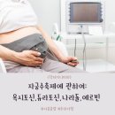 주에르빈