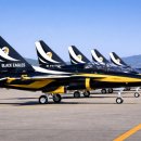 (주)스페이스다이브게임즈 | 2026년 공군교육사 부대개방 에어쇼행사와 블랙이글스 에어쇼 일정 및 관련정보