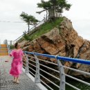 태백무인텔 이미지