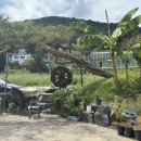 천지봉면옥 이미지