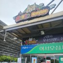 일산키즈카페 대형미끄럼틀이 있는 뮤즈키즈파크 내돈내산 후기