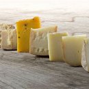 치즈(cheese) 이미지