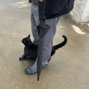 제주 함덕 4인 숙소 에어비앤비 <소제목스테이> 추천 후기