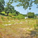 ㈜삼성글로벌 이미지