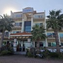 오션팔레드 이미지