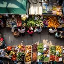 인왕축산 이미지