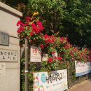 대림어린이공원 이미지