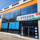 홍예동물병원 티스토리