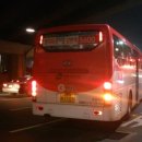 구미보보스 이미지