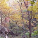 화암사 가는길 이미지