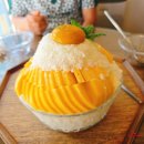 🍧 홍천 팥빙수 맛집 발견! 사계절에서 먹은 옥수수팥범벅눈꽃빙수 &amp; 노른자생망고빙수 완전 리얼 후기
